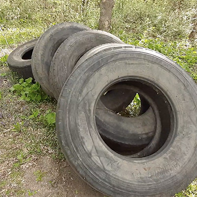 5 tires in woods